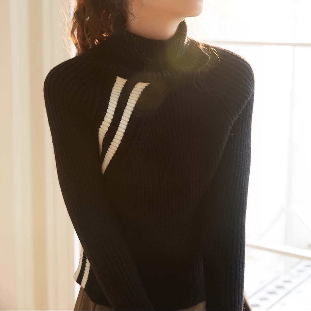 Knit Mix Stripe Pattern Turtleneck Raglan Sleeve Sweater